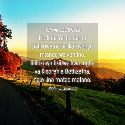 Picture 04 - Yohana 5:2 SWHULB - Na kule Yerusalemu palikuwa na birika kwenye - Bible Verse Picture