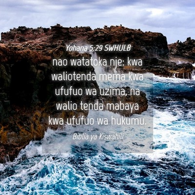 Picture 04 - Yohana 5:29 SWHULB - nao watatoka nje: kwa waliotenda mema kwa ufufuo - Bible Verse Picture