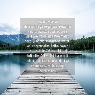 Picture 04 - Yohana 5:3 SWHULB - Idadi kubwa ya wagonjwa ilikuwemo, vipofu, - Bible Verse Picture