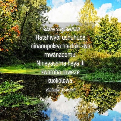 Picture 04 - Yohana 5:34 SWHULB - Hatahivyo, ushuhuda ninaoupokea hautoki kwa - Bible Verse Picture