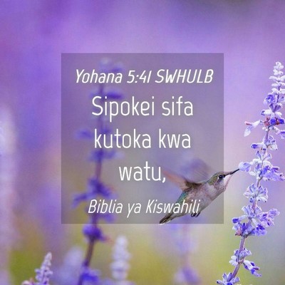 Picture 04 - Yohana 5:41 SWHULB - Sipokei sifa kutoka kwa - Bible Verse Picture