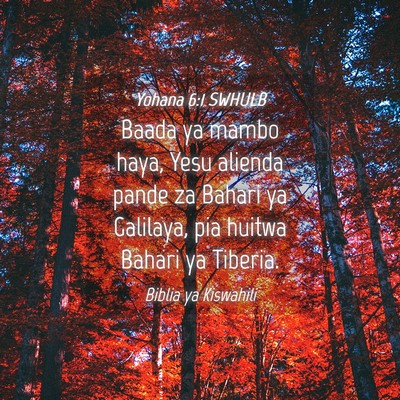 Picture 04 - Yohana 6:1 SWHULB - Baada ya mambo haya, Yesu alienda pande za Bahari - Bible Verse Picture