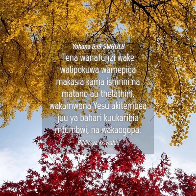 Picture 04 - Yohana 6:19 SWHULB - Tena wanafunzi wake walipokuwa wamepiga makasia - Bible Verse Picture
