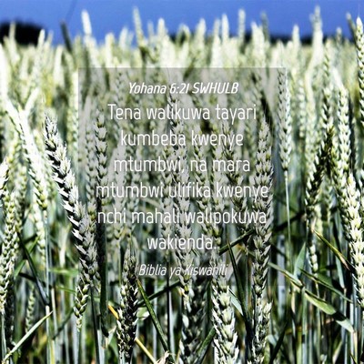 Picture 04 - Yohana 6:21 SWHULB - Tena walikuwa tayari kumbeba kwenye mtumbwi, na - Bible Verse Picture