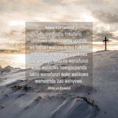 Picture 04 - Yohana 6:22 SWHULB - Siku iliyofuata, mkutano uliokuwa umesimama - Bible Verse Picture