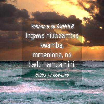Picture 04 - Yohana 6:36 SWHULB - Ingawa niliwaambia kwamba, mmeniona, na bado - Bible Verse Picture