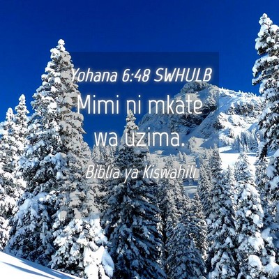 Picture 04 - Yohana 6:48 SWHULB - Mimi ni mkate wa - Bible Verse Picture