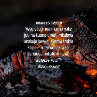 Picture 04 - Yohana 6:5 SWHULB - Yesu alipoinua macho yake juu na kuona umati - Bible Verse Picture