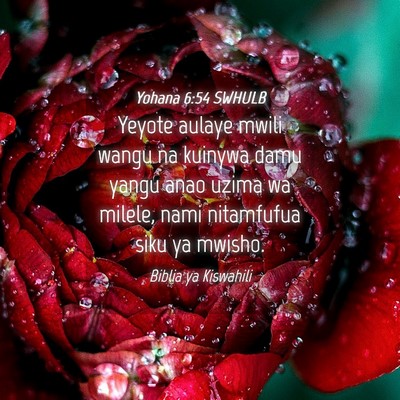 Picture 04 - Yohana 6:54 SWHULB - Yeyote aulaye mwili wangu na kuinywa damu yangu - Bible Verse Picture
