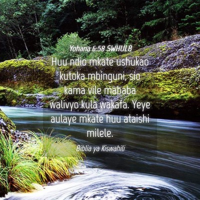 Picture 04 - Yohana 6:58 SWHULB - Huu ndio mkate ushukao kutoka mbinguni, sio kama - Bible Verse Picture