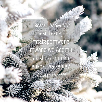 Picture 04 - Yohana 6:62 SWHULB - Basi itakuaje mtakapomwona mwana wa Adamu - Bible Verse Picture