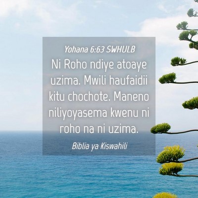 Picture 04 - Yohana 6:63 SWHULB - Ni Roho ndiye atoaye uzima. Mwili haufaidii kitu - Bible Verse Picture