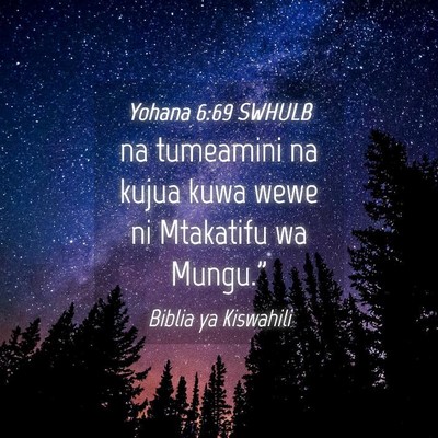 Picture 04 - Yohana 6:69 SWHULB - na tumeamini na kujua kuwa wewe ni Mtakatifu wa - Bible Verse Picture