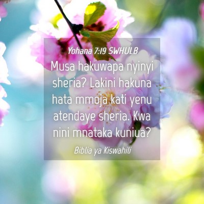 Picture 04 - Yohana 7:19 SWHULB - Musa hakuwapa nyinyi sheria? Lakini hakuna hata - Bible Verse Picture