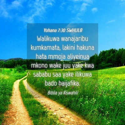 Picture 04 - Yohana 7:30 SWHULB - Walikuwa wanajaribu kumkamata, lakini hakuna hata - Bible Verse Picture