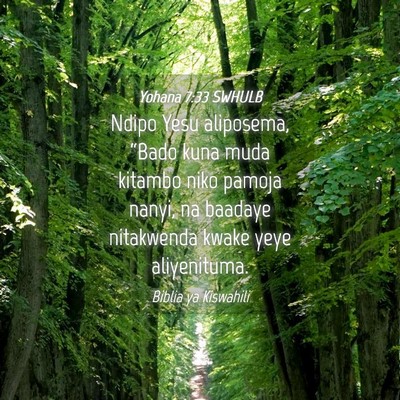 Picture 04 - Yohana 7:33 SWHULB - Ndipo Yesu aliposema, “Bado kuna muda kitambo - Bible Verse Picture