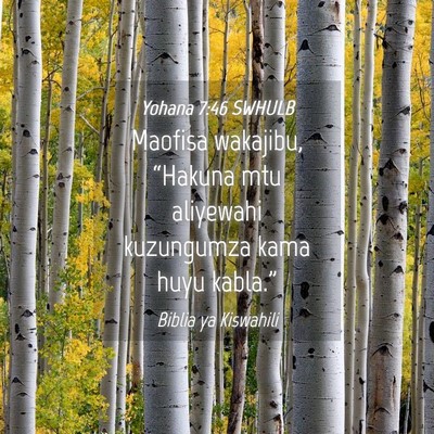 Picture 04 - Yohana 7:46 SWHULB - Maofisa wakajibu, “Hakuna mtu aliyewahi - Bible Verse Picture
