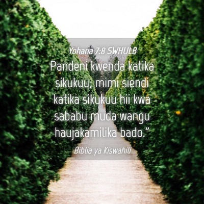 Picture 04 - Yohana 7:8 SWHULB - Pandeni kwenda katika sikukuu; mimi siendi katika - Bible Verse Picture