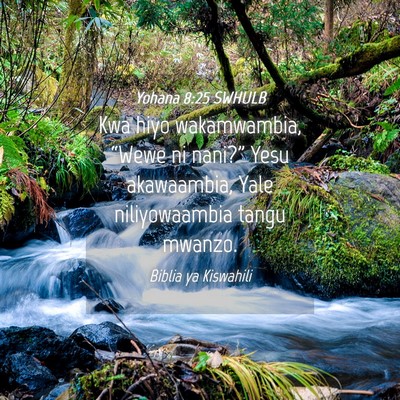 Picture 04 - Yohana 8:25 SWHULB - Kwa hiyo wakamwambia, “Wewe ni nani?” Yesu - Bible Verse Picture
