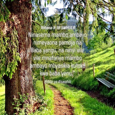 Picture 04 - Yohana 8:38 SWHULB - Ninasema mambo ambayo nimeyaona pamoja na Baba - Bible Verse Picture