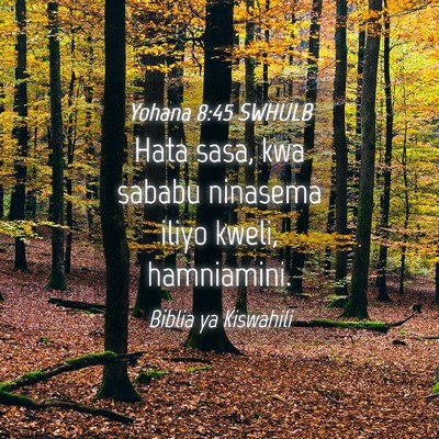 Picture 04 - Yohana 8:45 SWHULB - Hata sasa, kwa sababu ninasema iliyo kweli, - Bible Verse Picture