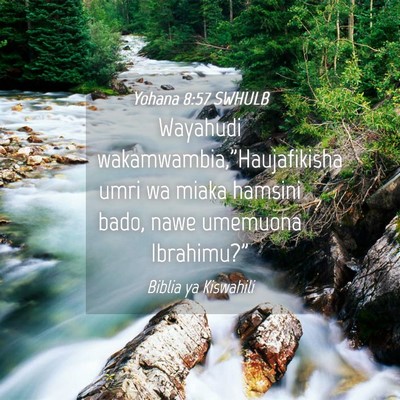 Picture 04 - Yohana 8:57 SWHULB - Wayahudi wakamwambia,”Haujafikisha umri wa - Bible Verse Picture