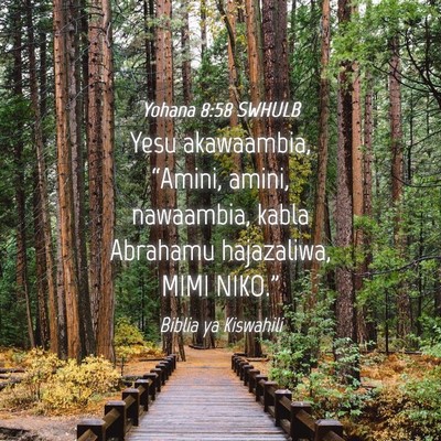 Picture 04 - Yohana 8:58 SWHULB - Yesu akawaambia, “Amini, amini, nawaambia, - Bible Verse Picture