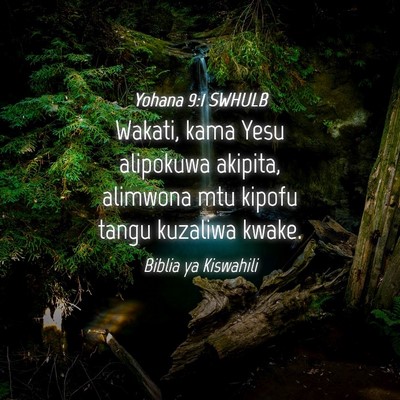 Picture 04 - Yohana 9:1 SWHULB - Wakati, kama Yesu alipokuwa akipita, alimwona mtu - Bible Verse Picture