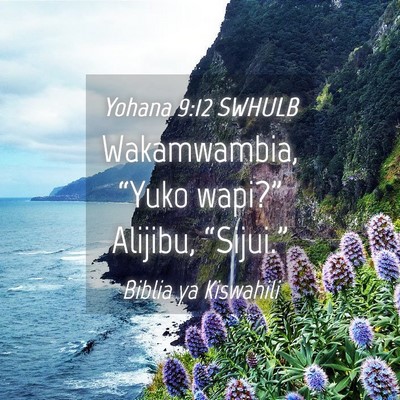 Picture 04 - Yohana 9:12 SWHULB - Wakamwambia, “Yuko wapi?” Alijibu, - Bible Verse Picture