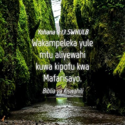 Picture 04 - Yohana 9:13 SWHULB - Wakampeleka yule mtu aliyewahi kuwa kipofu kwa - Bible Verse Picture
