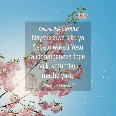 Picture 04 - Yohana 9:14 SWHULB - Nayo ilikuwa siku ya Sabato wakati Yesu - Bible Verse Picture