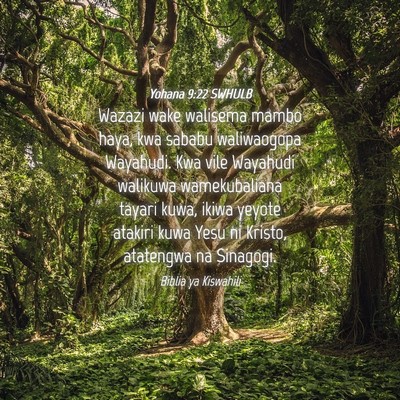 Picture 04 - Yohana 9:22 SWHULB - Wazazi wake walisema mambo haya, kwa sababu - Bible Verse Picture