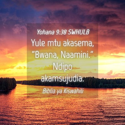 Picture 04 - Yohana 9:38 SWHULB - Yule mtu akasema, “Bwana, Naamini.” Ndipo - Bible Verse Picture