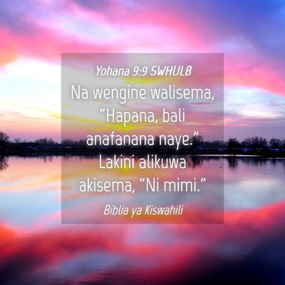 Picture 04 - Yohana 9:9 SWHULB - Na wengine walisema, “Hapana, bali anafanana - Bible Verse Picture