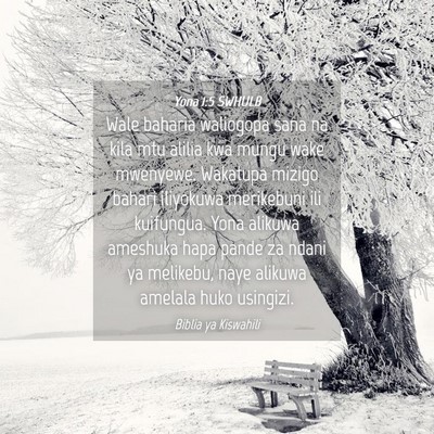 Picture 04 - Yona 1:5 SWHULB - Wale baharia waliogopa sana na kila mtu alilia - Bible Verse Picture