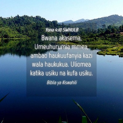 Picture 04 - Yona 4:10 SWHULB - Bwana akasema, Umeuhurumia mmea, ambao - Bible Verse Picture