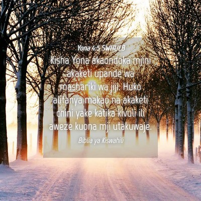 Picture 04 - Yona 4:5 SWHULB - Kisha Yona akaondoka mjini akaketi upande wa - Bible Verse Picture