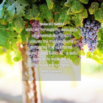 Picture 04 - Yoshua 10:2 SWHULB - Watu wa Yerusalemu waliogopa sana kwasababu - Bible Verse Picture