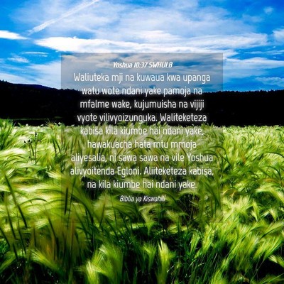 Picture 04 - Yoshua 10:37 SWHULB - Waliuteka mji na kuwaua kwa upanga watu wote - Bible Verse Picture