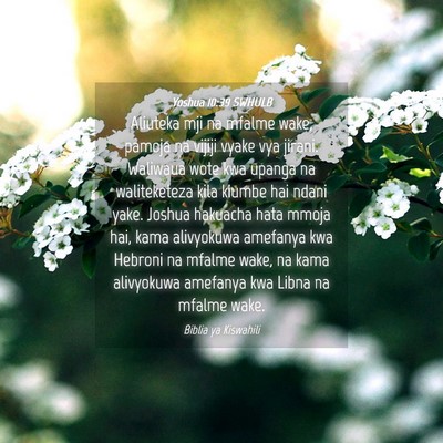 Picture 04 - Yoshua 10:39 SWHULB - Aliuteka mji na mfalme wake, pamoja na vijiji - Bible Verse Picture