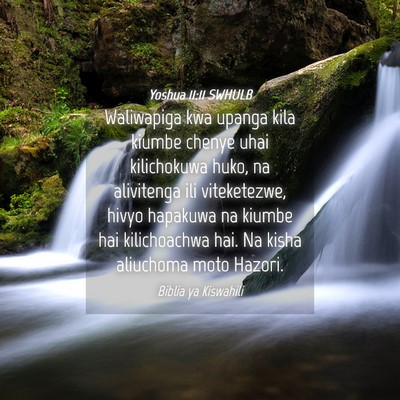 Picture 04 - Yoshua 11:11 SWHULB - Waliwapiga kwa upanga kila kiumbe chenye uhai - Bible Verse Picture