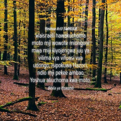 Picture 04 - Yoshua 11:13 SWHULB - Waisraeli hawakuchoma moto mji wowote miongoni - Bible Verse Picture