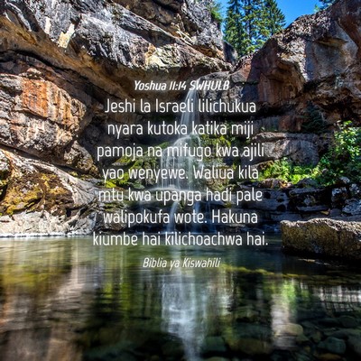 Picture 04 - Yoshua 11:14 SWHULB - Jeshi la Israeli lilichukua nyara kutoka katika - Bible Verse Picture