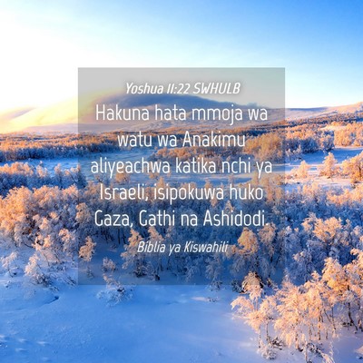 Picture 04 - Yoshua 11:22 SWHULB - Hakuna hata mmoja wa watu wa Anakimu aliyeachwa - Bible Verse Picture