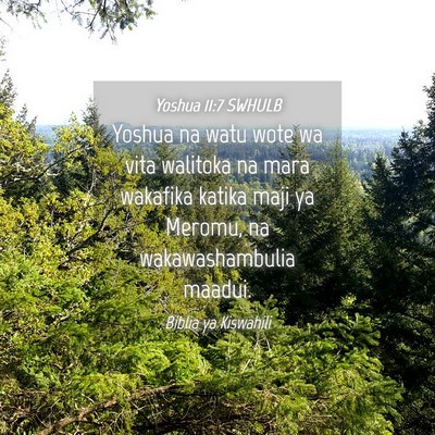 Picture 04 - Yoshua 11:7 SWHULB - Yoshua na watu wote wa vita walitoka na mara - Bible Verse Picture