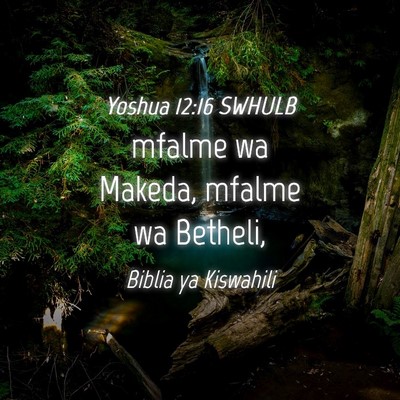 Picture 04 - Yoshua 12:16 SWHULB - mfalme wa Makeda, mfalme wa - Bible Verse Picture