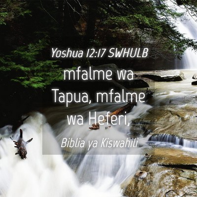 Picture 04 - Yoshua 12:17 SWHULB - mfalme wa Tapua, mfalme wa - Bible Verse Picture