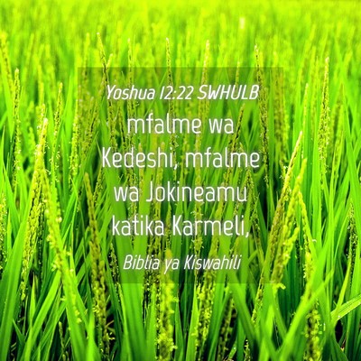 Picture 04 - Yoshua 12:22 SWHULB - mfalme wa Kedeshi, mfalme wa Jokineamu katika - Bible Verse Picture