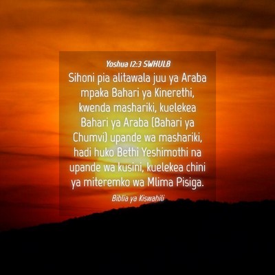 Picture 04 - Yoshua 12:3 SWHULB - Sihoni pia alitawala juu ya Araba mpaka Bahari ya - Bible Verse Picture