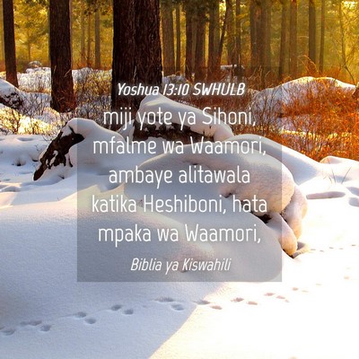 Picture 04 - Yoshua 13:10 SWHULB - miji yote ya Sihoni, mfalme wa Waamori, ambaye - Bible Verse Picture